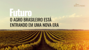 Rastreabilidade socioambiental: o novo passaporte do agro brasileiro para o mercado internacional